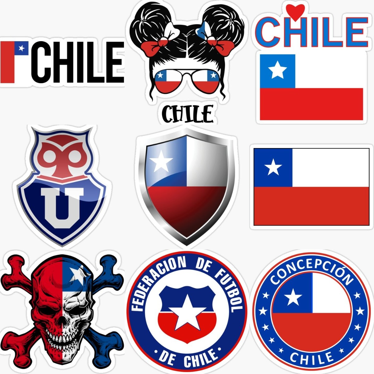 Chile Emblem Flag Skull Creati - Desk Setup Ideas 评论和价格