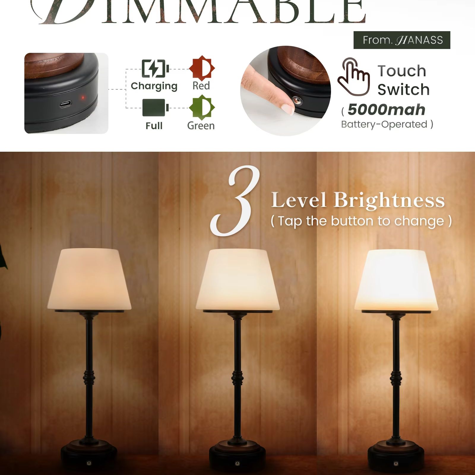 Cordless Table Lamps Set of  5 - Desk Setup Modern 评论和价格